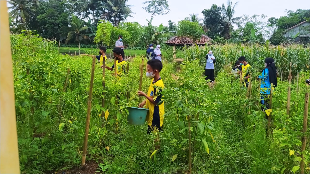 (Hal 2) Tumbuhkan Minat Agribisnis Pertanian, Siswa SMPN 1 Wanareja Ikuti Eduwisata